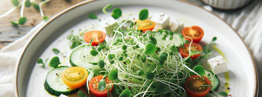Microgreen Power Salad
