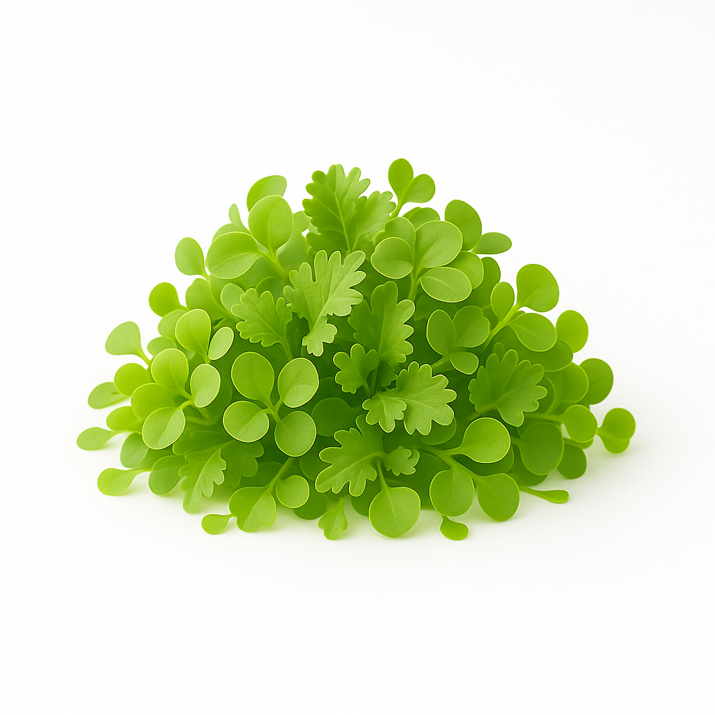 Microgreen Super Mix - 25g