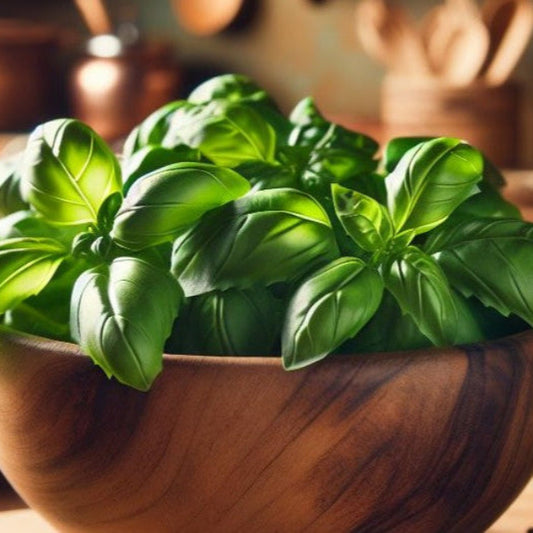 Fresh, tasty and healthy quality herbs, basil