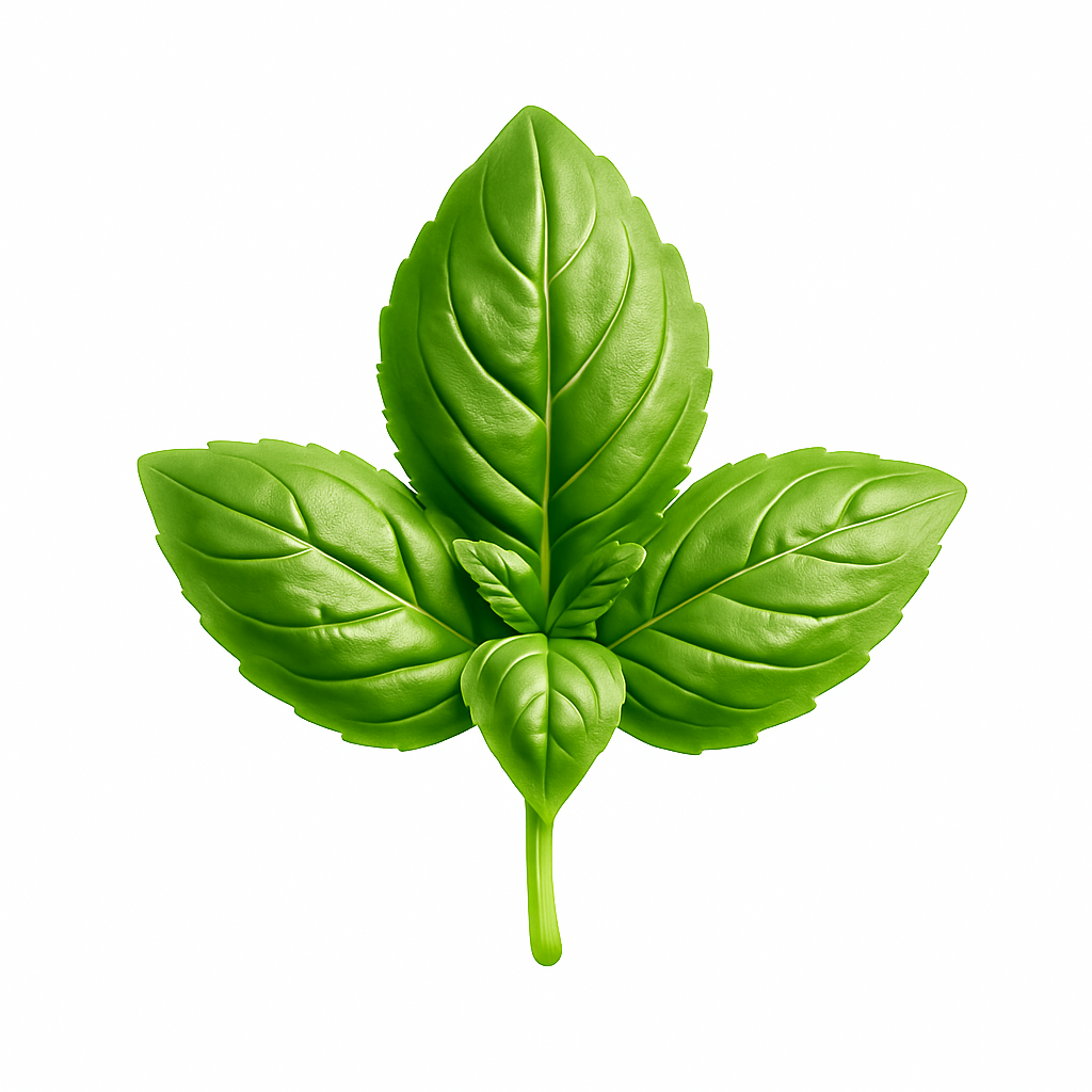 Basil - 100g