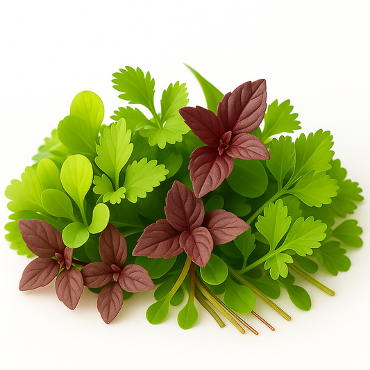 Microgreen Asian Mix - 25g