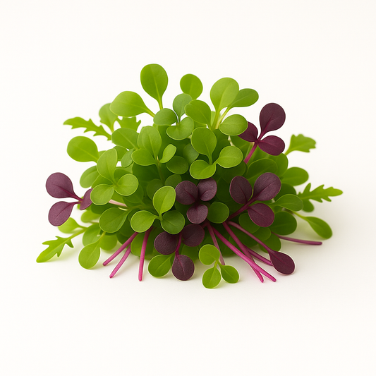 Microgreen Spicy Mix - 25g