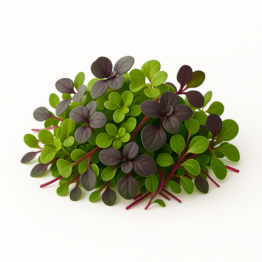 Microgreen Vibrant Mix - 25g